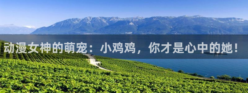 囧次元下载最新版本