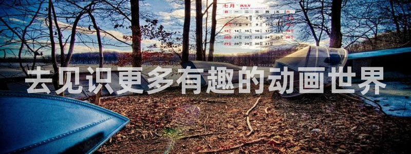 囧次元app下载官网版