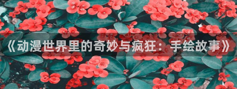 囧次元最新版下载官方正版
