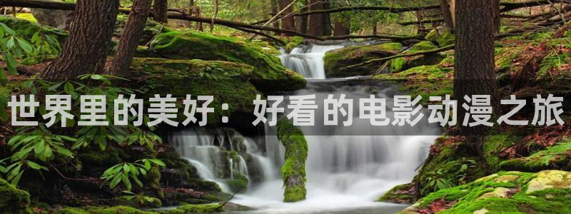 囧次元最新下载链接