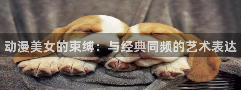 囧次元怎么登录