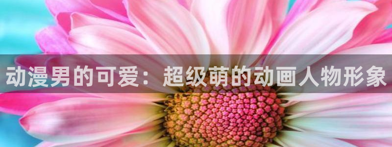囧次元官网官方入门网站