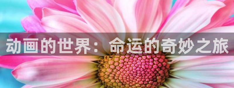 囧次元app下载动漫