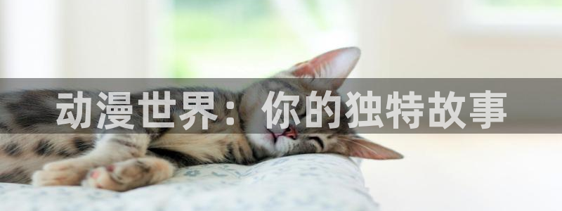 囧次元下载官方app