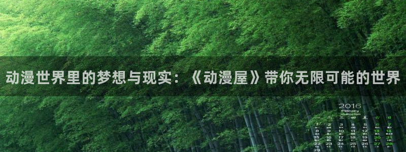 囧次元大全