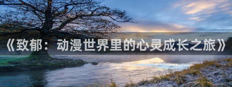 囧次元下载官方正版最新版