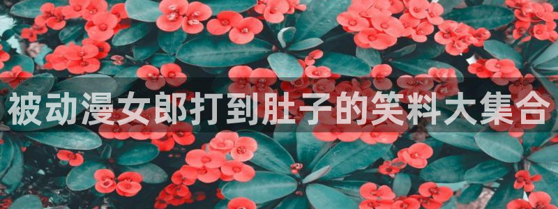 囧次元下载最新