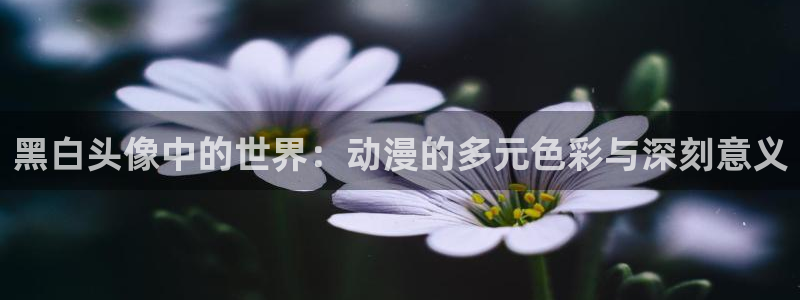 囧次元官方网站入口下载
