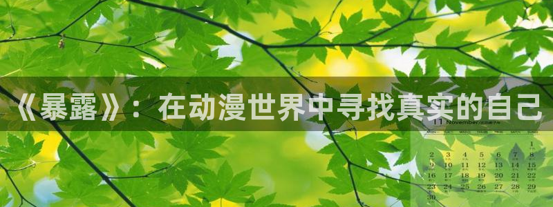 囧次元app下载官网版安卓