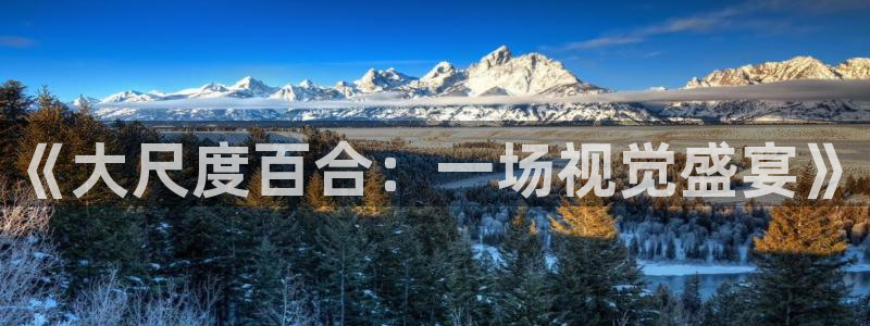 囧次元官方网站入口最新版本