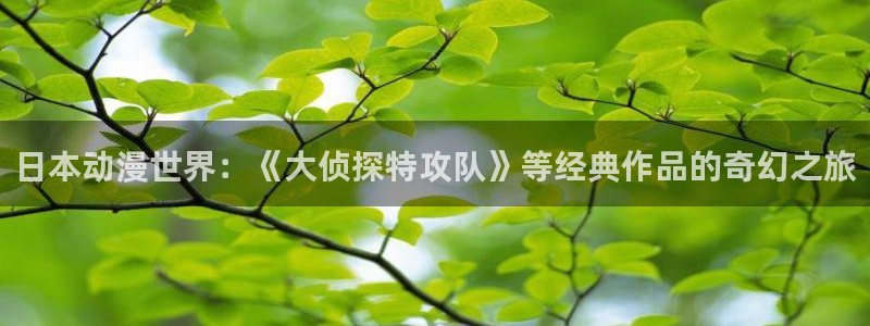 囧次元看动漫