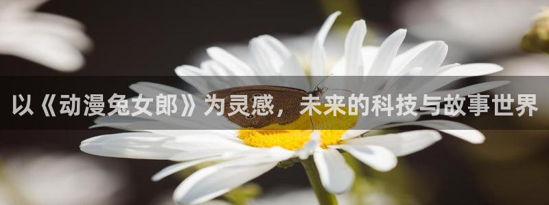 囧次元网页版入口网址