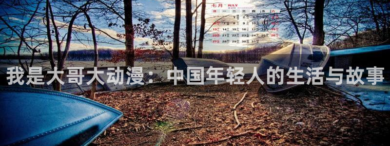 囧次元下载最新