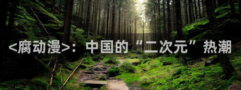 囧次元免费下载