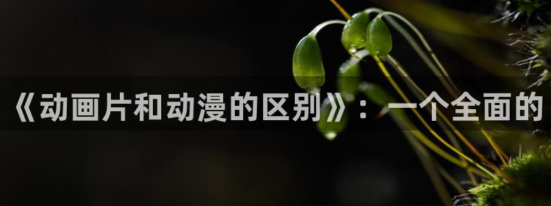 囧次元app官方下载