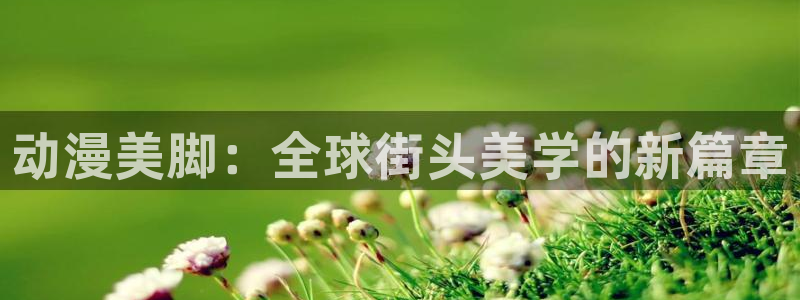 囧次元下载官方