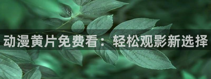 囧次元安卓版下载