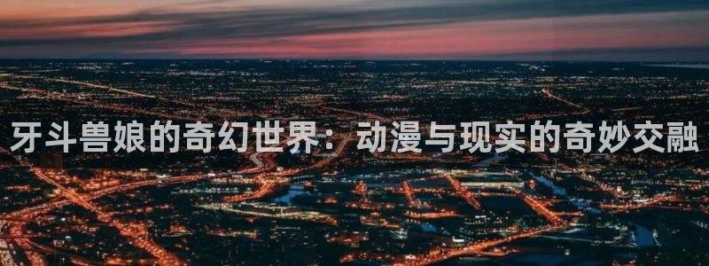 囧次元下载最新