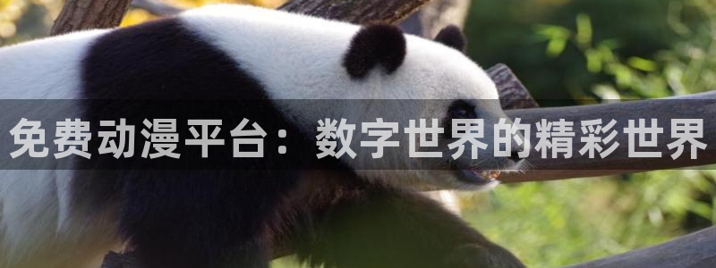 jcyapp囧次元官网入口