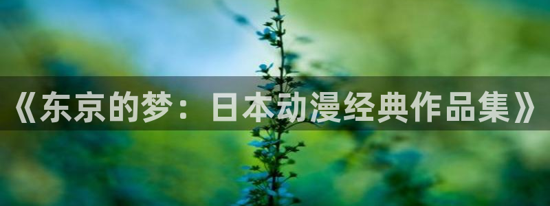 囧次元下载官网