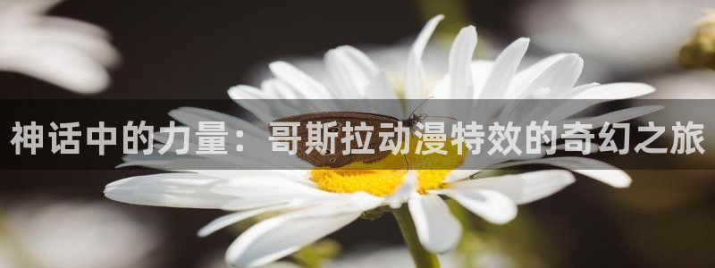 囧次元官方最新版