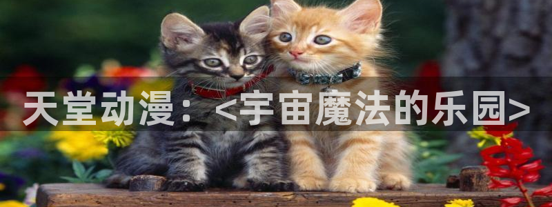 囧次元新版