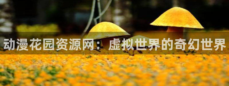 囧次元最新下载链接