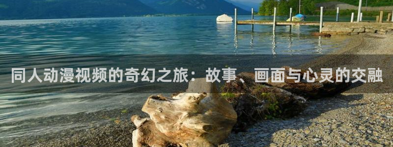 囧次元下载官方app