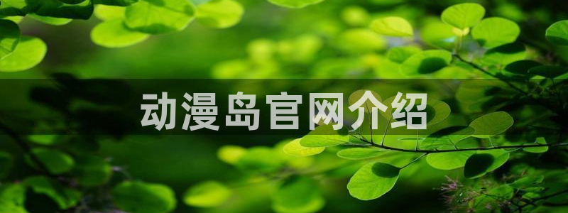 囧次元最新版官方正版