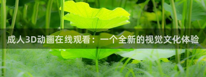 囧次元囧次元
