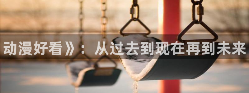 囧次元正版app
