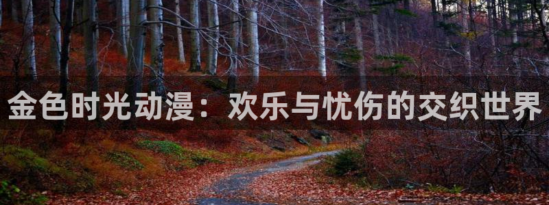 囧次元app下载官网网址