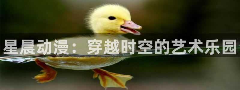 囧次元app官方
