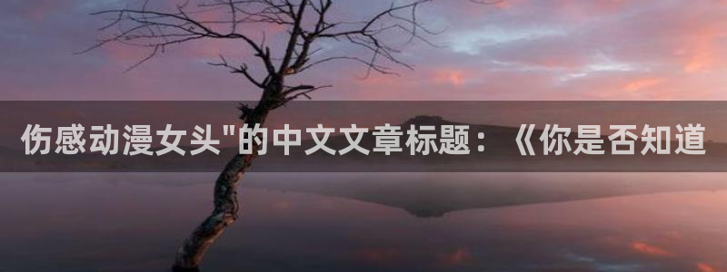 囧次元官方正版下载入口