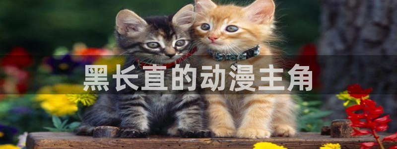 囧次元app正版下载官网