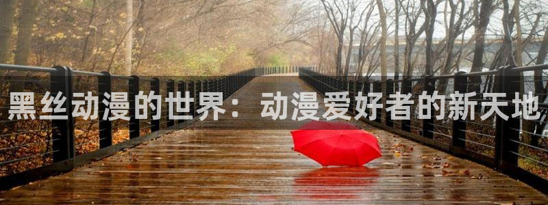 囧次元最新版下载官方正版