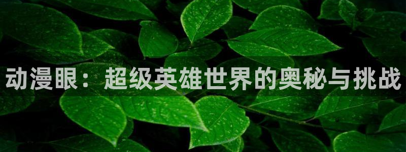 免费下载囧次元