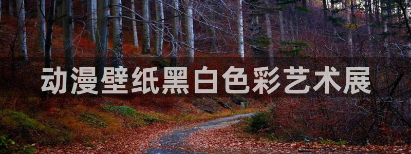 囧次元为什么打不开了