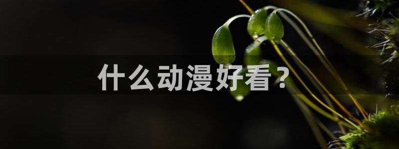 jcyapp.囧次元官网入口