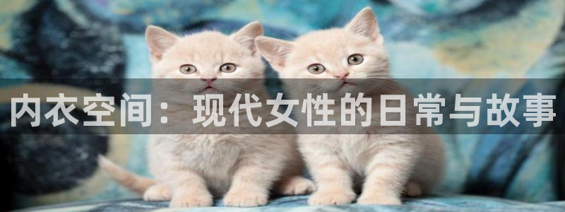 囧次元动漫官方网入口