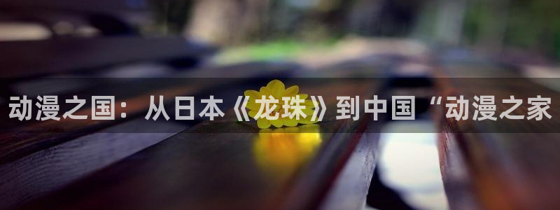 囧次元漫画：动漫之国：从日本《龙珠》到中国“动漫之家
