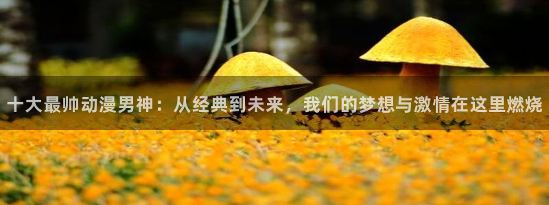 囧次元是哪个公司的