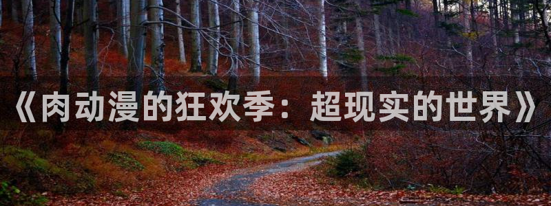 囧次元app官方入口