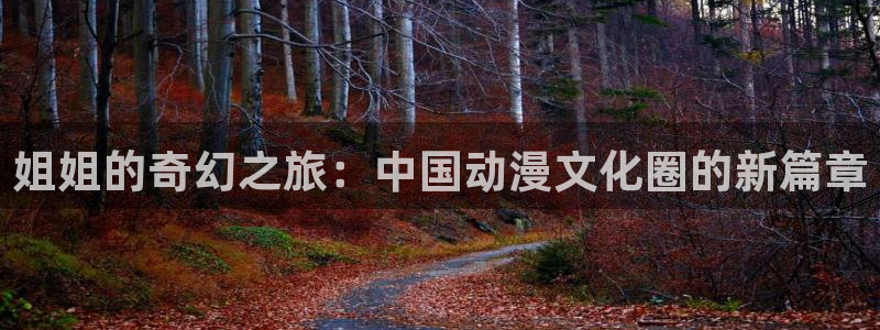 囧次元官方网站入口官网下载