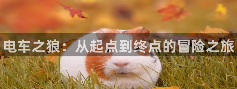 囧次元ios苹果版网站入口