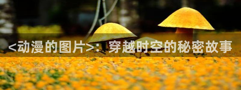 囧次元app官网：<动漫的图片>：穿越时空的秘密故事