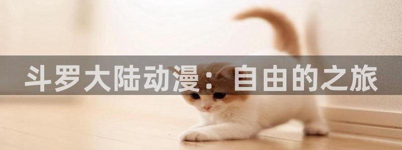 jcyapp囧次元官网入口：斗罗大陆动漫：自由的之旅