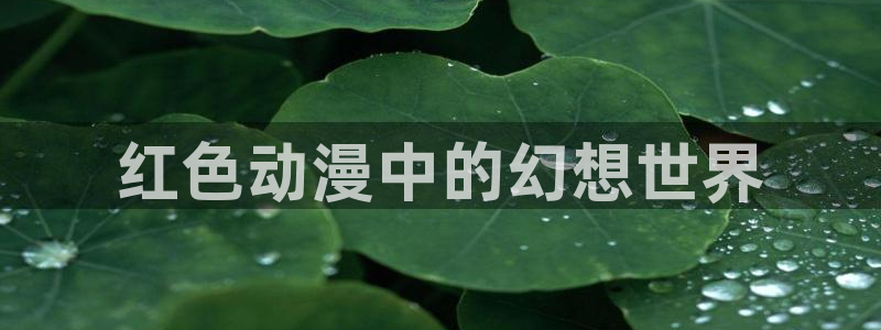囧次元最新版本：红色动漫中的幻想世界