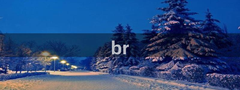 囧次元正版入口：br