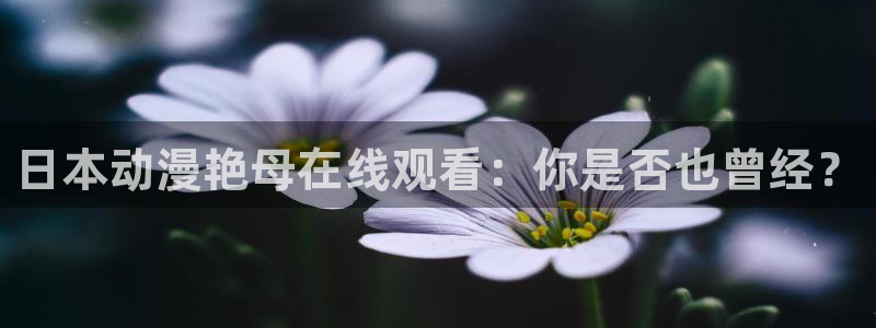 囧次元正版：日本动漫艳母在线观看：你是否也曾经？